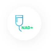 Image of our NAD add-ons